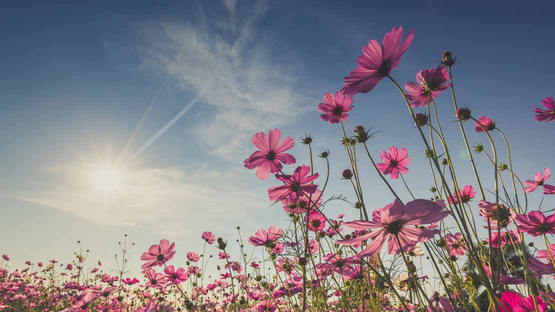 ধৈর্যশীলদের আল্লাহ যে পুরস্কার দেবেন