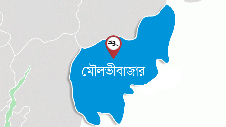 সংযোগ সড়কবিহীন সেতু