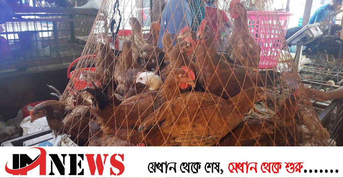 কেজিতে ৪০ টাকা বাড়ল ব্রয়লার’র