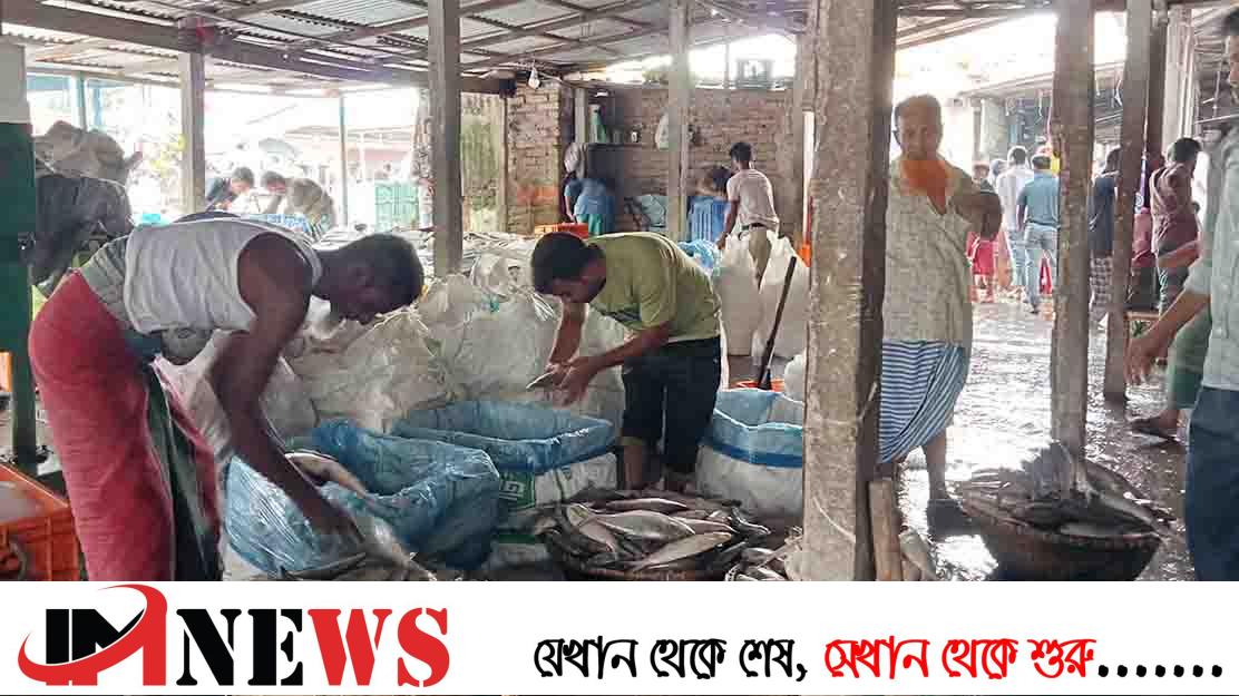 চাঁদপুর মাছঘাটে কমে গেছে ইলিশের সরবরাহ