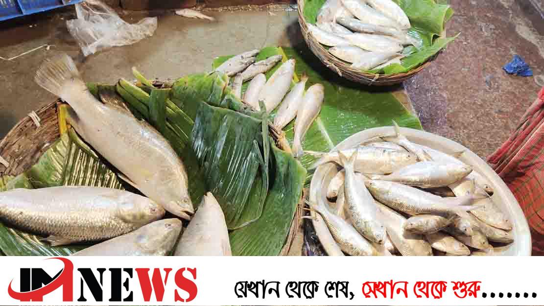 ভরা মৌসুমেও ইলিশের দেখা মিলছে না