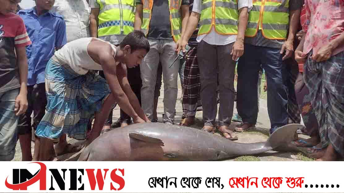 মেঘনায় ভেসে এল মৃত ডলফিন