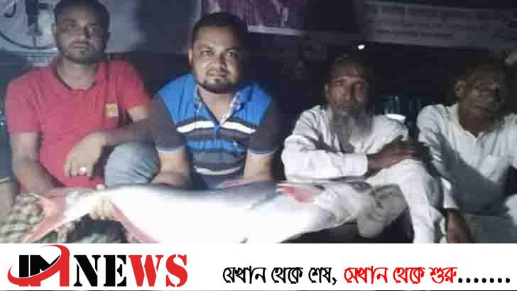 ১৫ কেজি ওজনের পাঙ্গাস ধরা পড়ল বড়শিতে