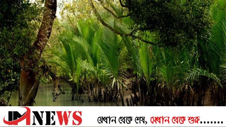 সুন্দরীর জায়গা নিচ্ছে কাঁকড়া