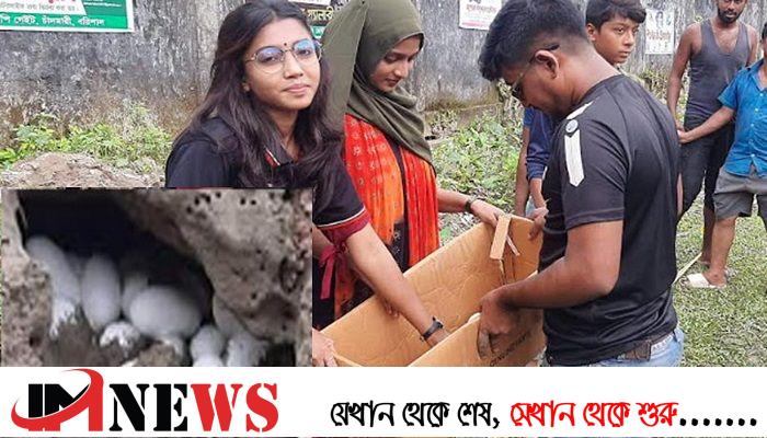 খেলার মাঠে মিললো সাপের ডিম
