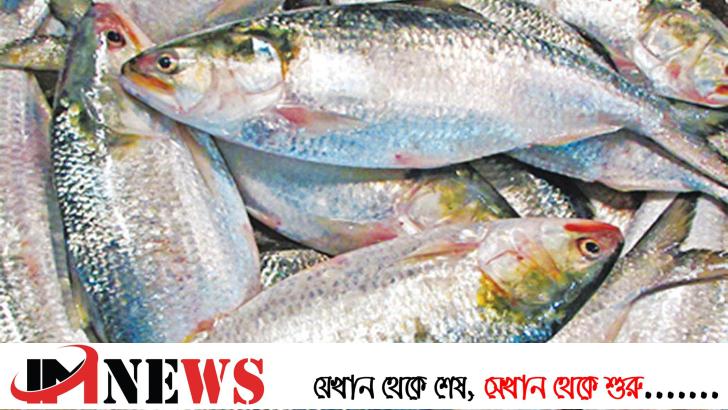 ইলিশ রপ্তানি বন্ধে আইনি নোটিশ