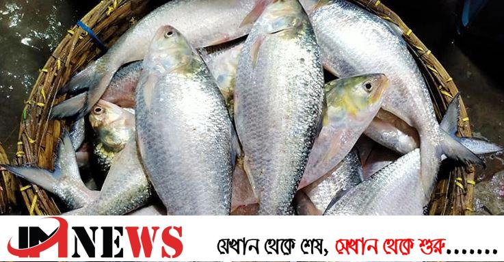 হাসি নেই ভোলার জেলেদের মুখে