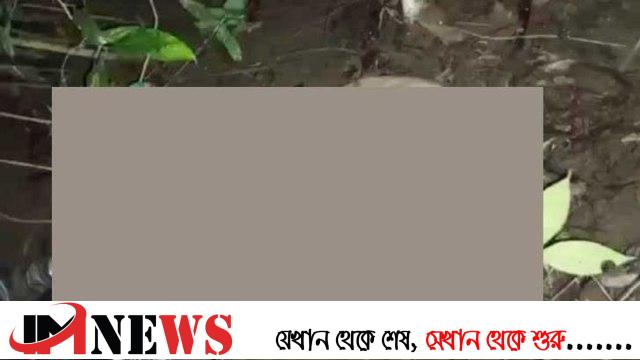 বান্দরবানে হাতির পায়ে পিষ্ট হয়ে বিজিবি সদস্য নিহত