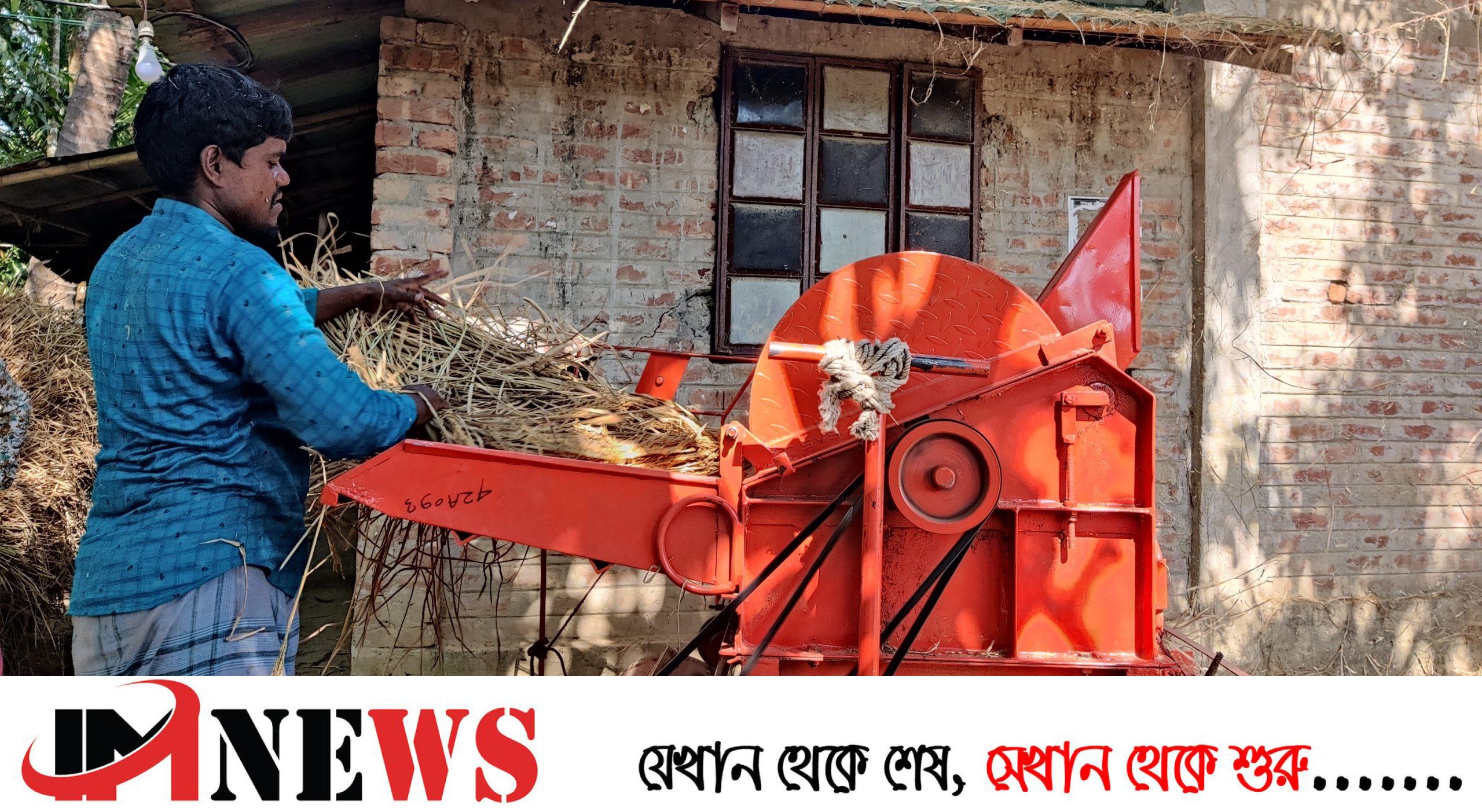 ধান কাটা-মাড়াইয়ে ব্যস্ত সময় পার করছে উখিয়ার কৃষকরা