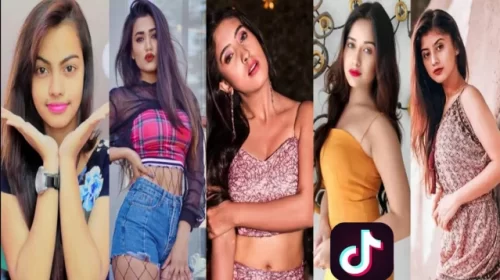 পাওয়া গেলো টিকটকে ভিডিও ভাইরাল হওয়ার রহস্য