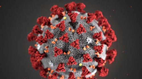 আবারও বাড়ছে করনার প্রকোপ