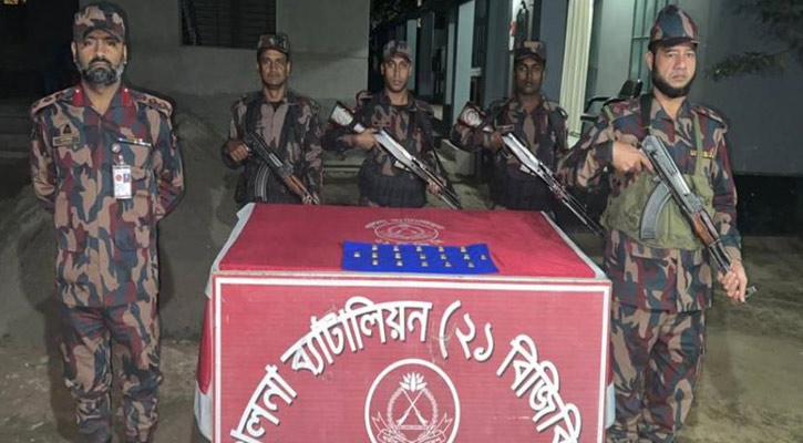 শার্শা সীমান্ত থেকে ১৭টি স্বর্ণের বার জব্দ