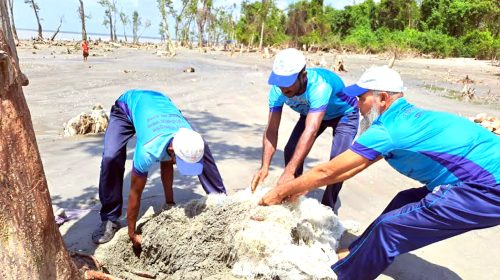 কুয়াকাটা সৈকতে ১ বছরে ফেলা হয়েছে ৮৩৯৫ কেজি ছেড়া জাল!