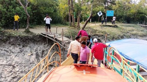 পর্যটকদের ফাতরার বনে যেতে হয় ঝুঁকিপূর্ণ সাঁকো দিয়ে