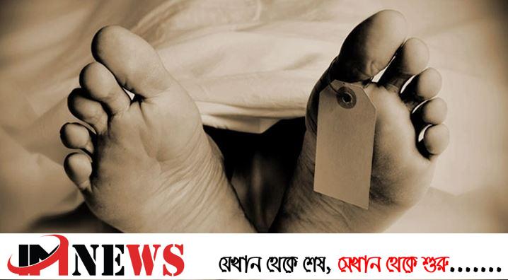 ট্রাকের ধাক্কায় ভ্যানযাত্রী নিহত