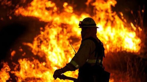 কামরাঙ্গীরচরে জুতার কারখানায় আগুন