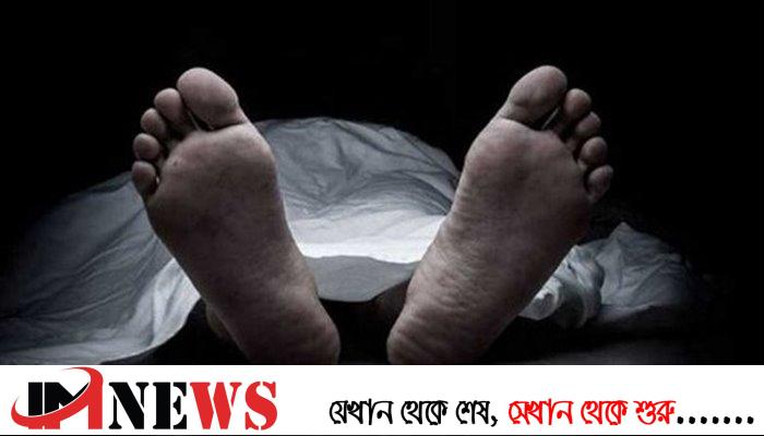 মাদারীপুরে অ্যাম্বুলেন্সের চাপায় ভ্যানচালক নিহত