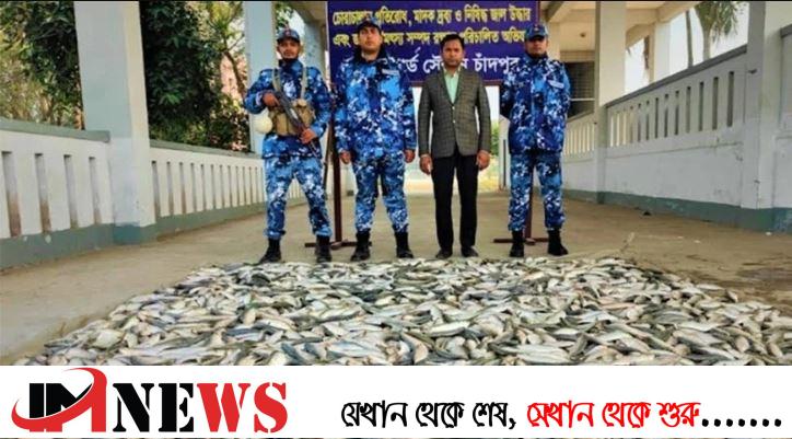 চাঁদপুরে কোস্টগার্ডের অভিযানে হাজার কেজি জাটকা জব্দ