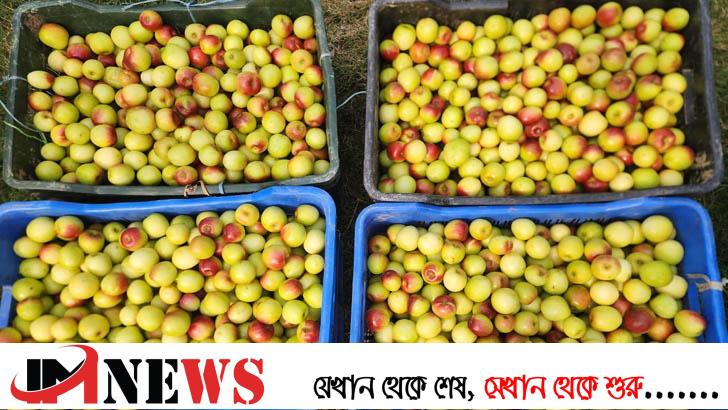 ইতালির পর বাঘার বরই যাচ্ছে সুইডেনে