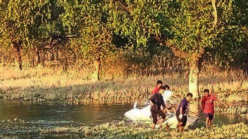 কক্সবাজারে আইনশৃঙ্খলা চরম অবনতি, ১ দিনে ৪ লাশ উদ্ধার