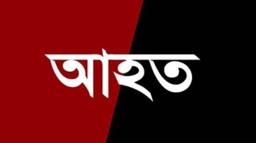 সীমান্তে বিএসএফের মারপিটে বাংলাদেশি এক যুবক আহত