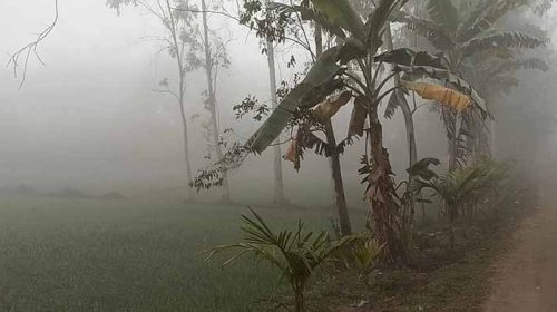 পঞ্চগড়ে তাপমাত্রা ৬.৮ ডিগ্রি