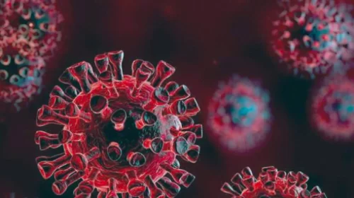 ২৪ ঘণ্টায় ৯ জনের করোনা শনাক্ত