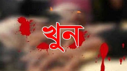 ধর্মপাশায় ছোট ভাইয়ের হাতে বড় ভাই খুন