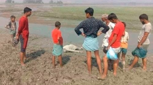 সাঙ্গুর পাড়ে মিললো বৃদ্ধের মরদেহ
