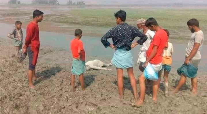 সাঙ্গুর পাড়ে মিললো বৃদ্ধের মরদেহ