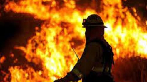 গাজীপুরে তুলার গুদামে আগুন