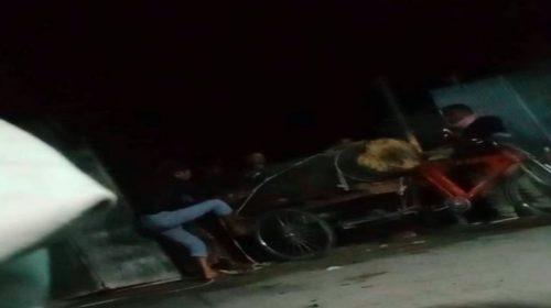 গভীর রাতে সরকারি গাছ কাটলেন ইউপি চেয়ারম্যান