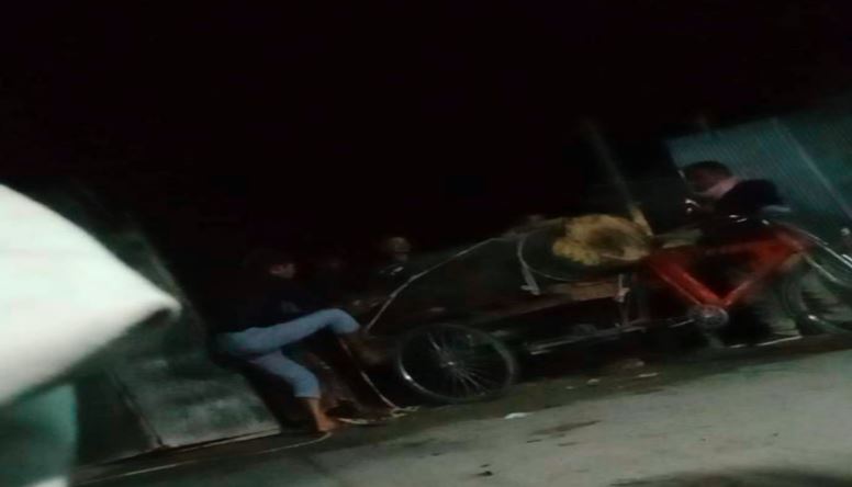 গভীর রাতে সরকারি গাছ কাটলেন ইউপি চেয়ারম্যান