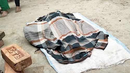 শেরপুরে ট্রাকচাপায় শিশু নিহত