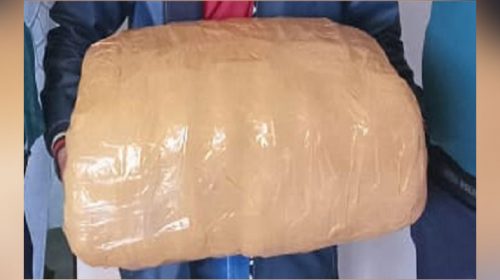 রাজধানীতে ৯ কেজি গাঁজাসহ গ্রেফতার ১