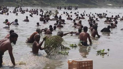 গোমতী নদীতে মাছ ধরার উৎসব