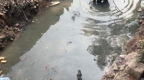 ড্রেন থেকে নবজাতকের লাশ উদ্ধার