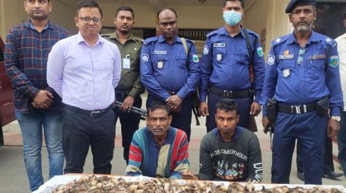 অবৈধভাবে পাখি শিকারের দায়ে বাবা-ছেলে কারাগারে
