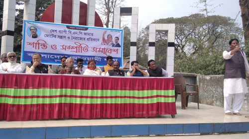 ফুলবাড়ীতে উপজেলা আ.লীগের শান্তি সমাবেশ