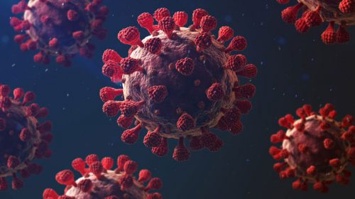 করোনার নতুন রোগী নেই ৬৩ জেলায়