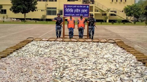 ভোলায় জাটকাসহ ১৩৮ মণ মাছ জব্দ, দুইটি ট্রলার জব্দ