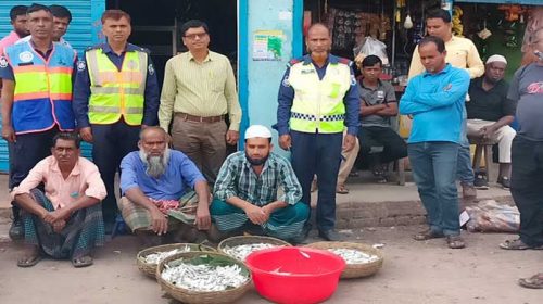 বরিশালে মাছ শিকার নিষেধাজ্ঞার প্রথম দিনেই ৩ জনকে জরিমানা