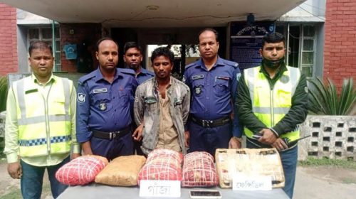 গাঁজা-ফেনসিডিলসহ আটক ১
