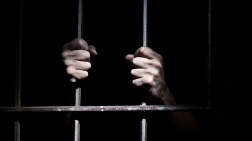 আইনজীবীকে মারধর করে কারাগারে কাউন্সিলর