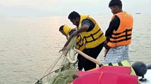 চাঁদপুরে জাটকা ধরার অপরাধে ২৯ জেলেকে আটক