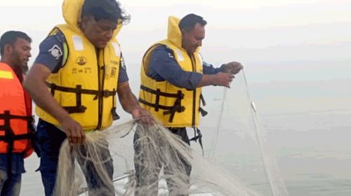 চাঁদপুরের মেঘনায় ৭১ কেজি জাটকাসহ ১৭ জেলে আটক