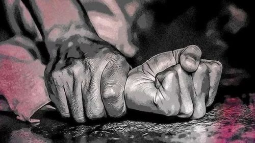 তরুণীকে ধর্ষণের অভিযোগে দুলাভাইয়ের নামে মামলা